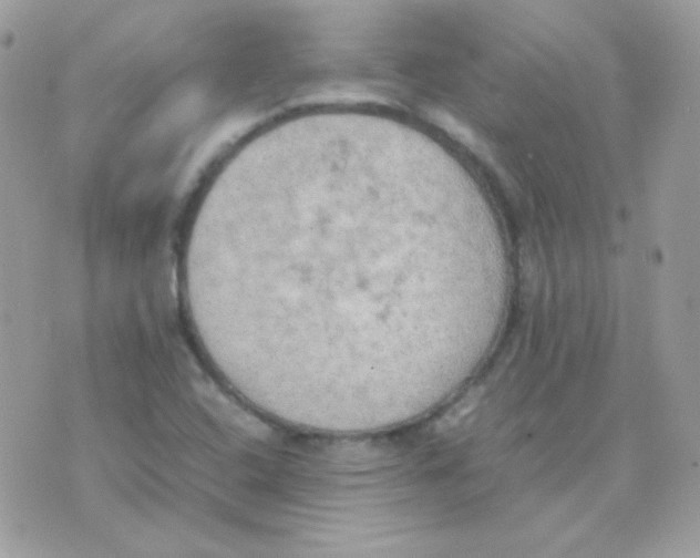 X0000074971408200609291926