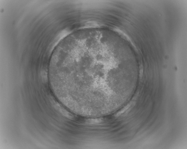 X0000074971409200609291926