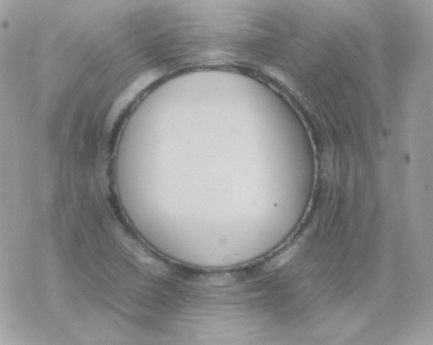 X0000074971410200609291926