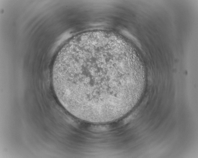 X0000074971411200609291926