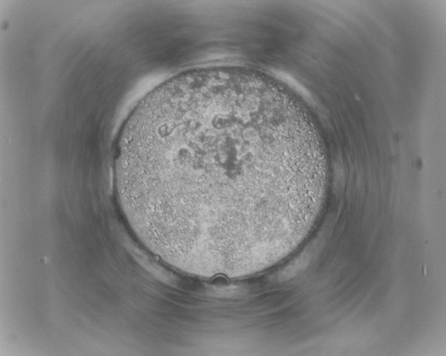 X0000074971413200609291926