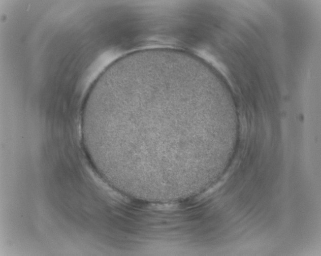 X0000074971415200609291926