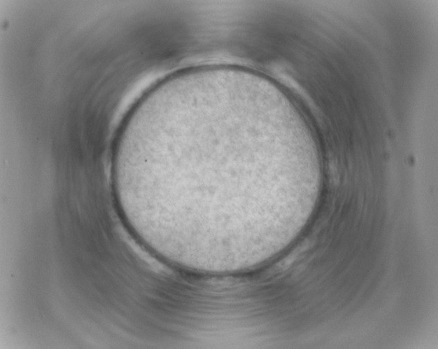 X0000074971416200609291926