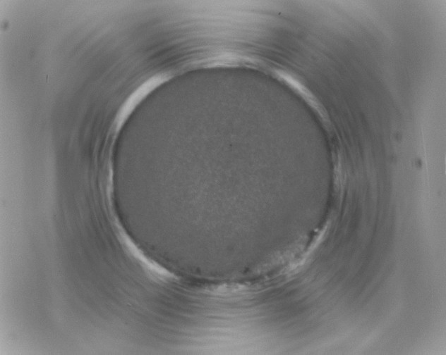 X0000074971418200609291926