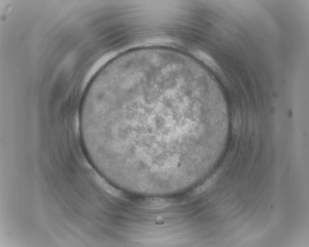 X0000074971420200609291926