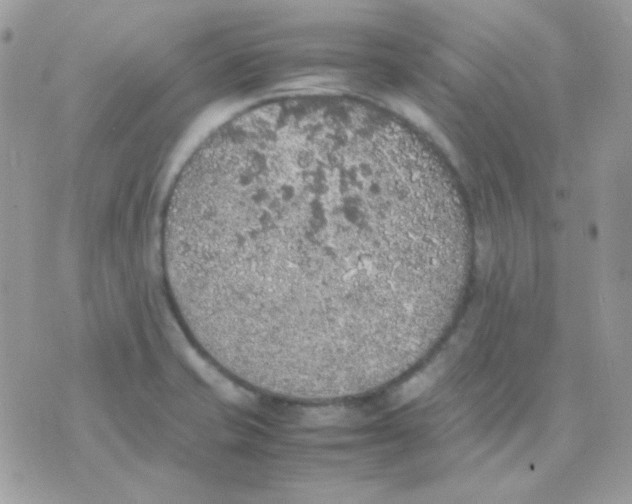 X0000074971421200609291927