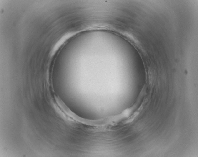 X0000074971422200609291927