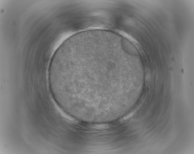 X0000074971423200609291927