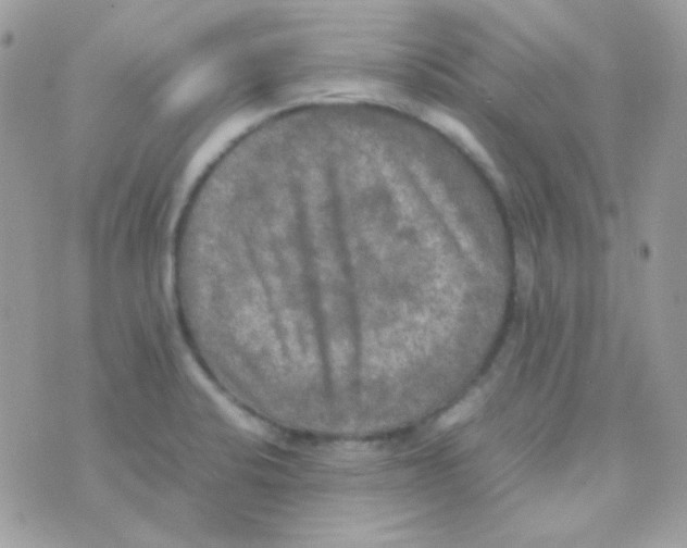 X0000074971424200609291927