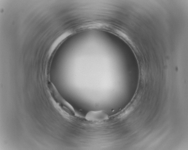 X0000074971426200609291927