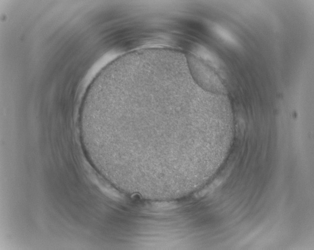 X0000074971427200609291927