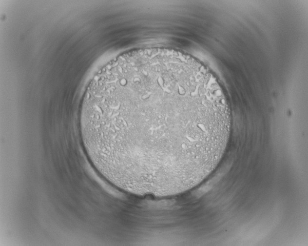 X0000074971429200609291927