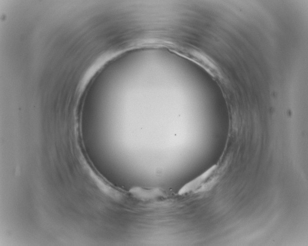 X0000074971430200609291927