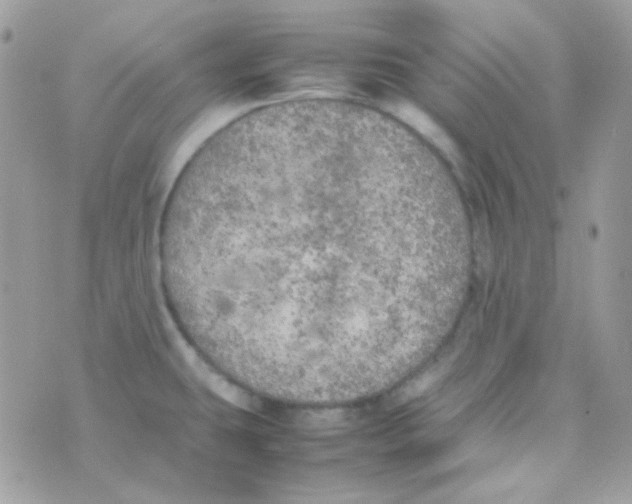 X0000074971431200609291927