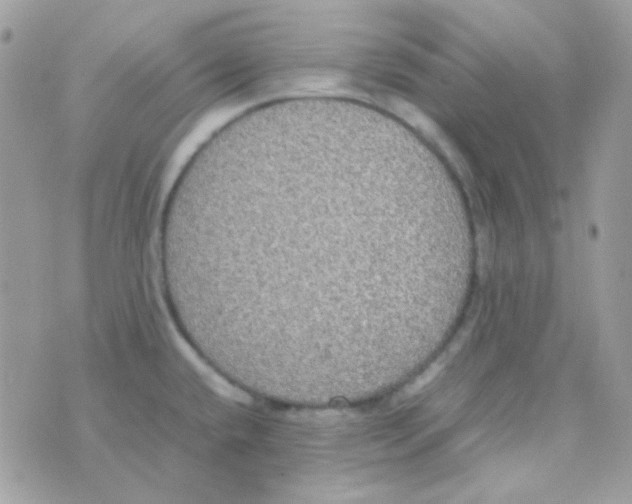 X0000074971432200609291927