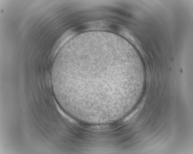 X0000074971433200609291927