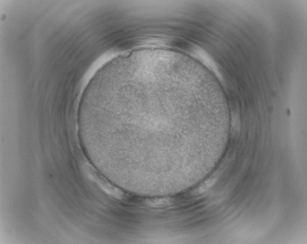 X0000074971435200609291927