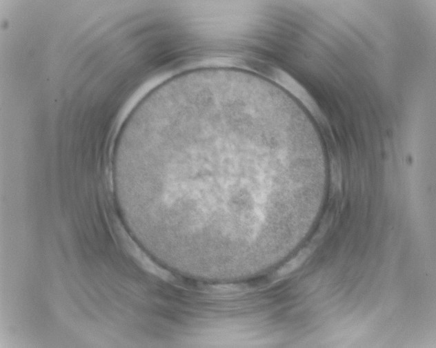 X0000074971436200609291927