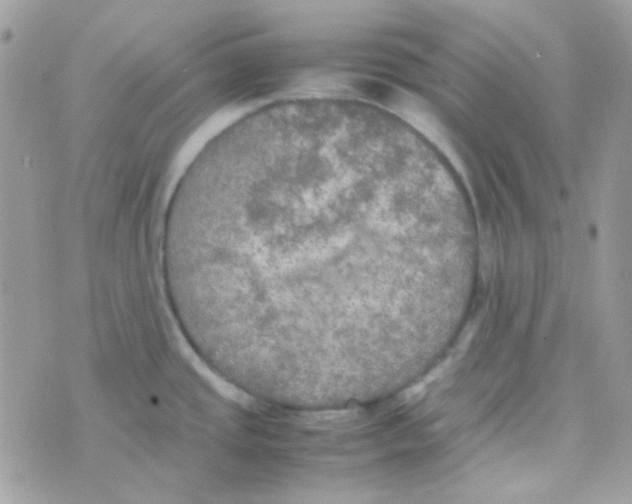 X0000074971437200609291927