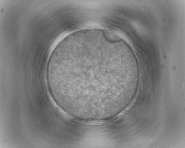 X0000074971440200609291927