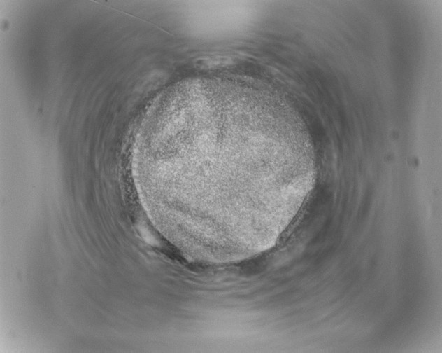 X0000074971441200609291926