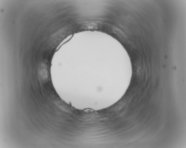 X0000074971442200609291926