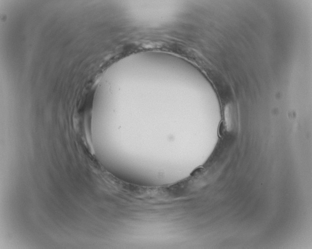 X0000074971443200609291926