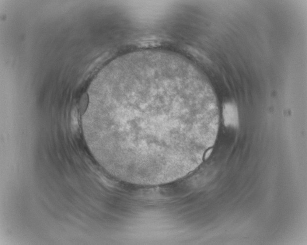 X0000074971444200609291926