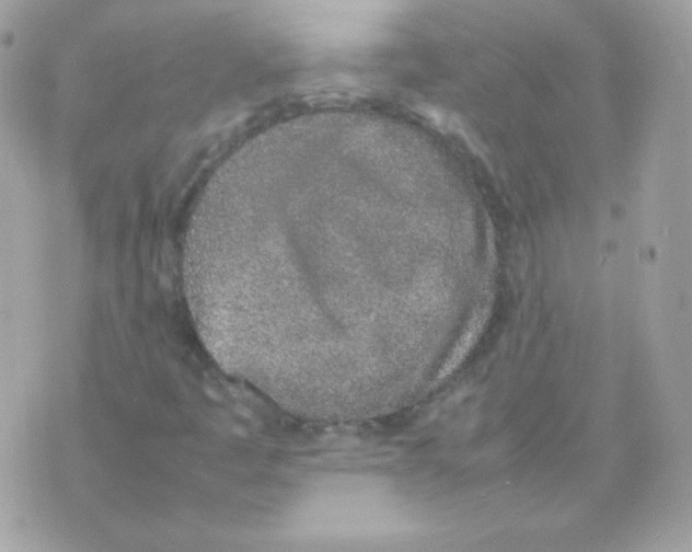 X0000074971445200609291926