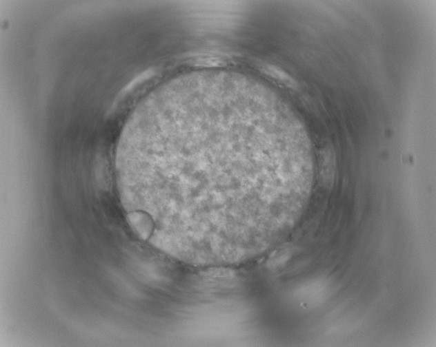 X0000074971446200609291926