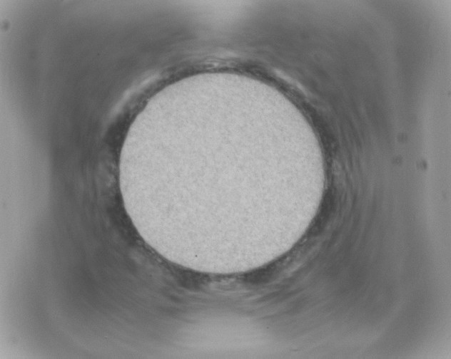 X0000074971447200609291926