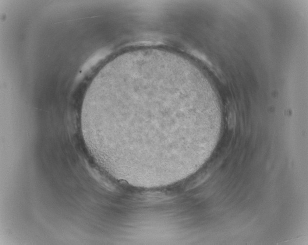 X0000074971448200609291926