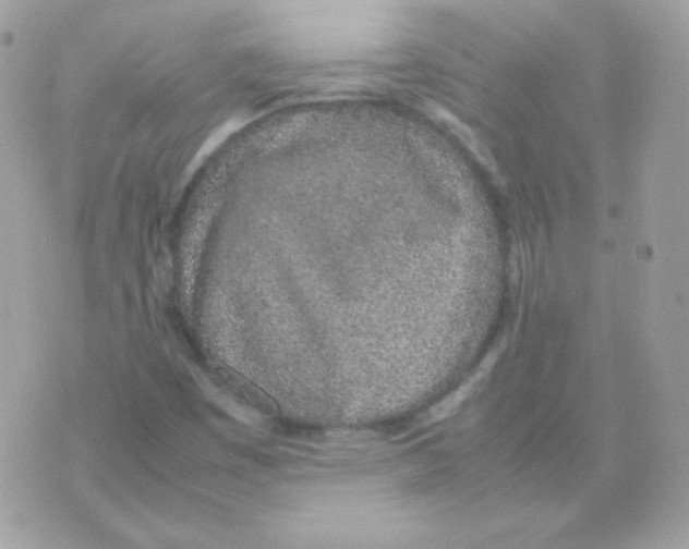 X0000074971449200609291926