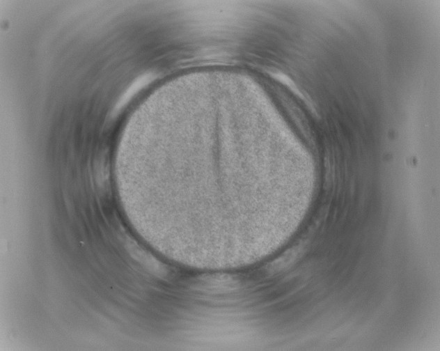 X0000074971450200609291926