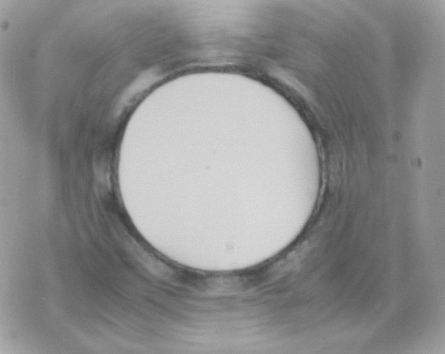 X0000074971451200609291926