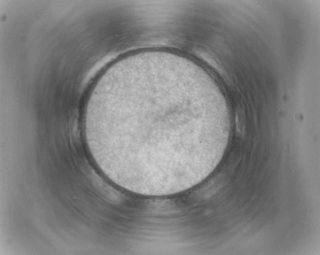 X0000074971452200609291926