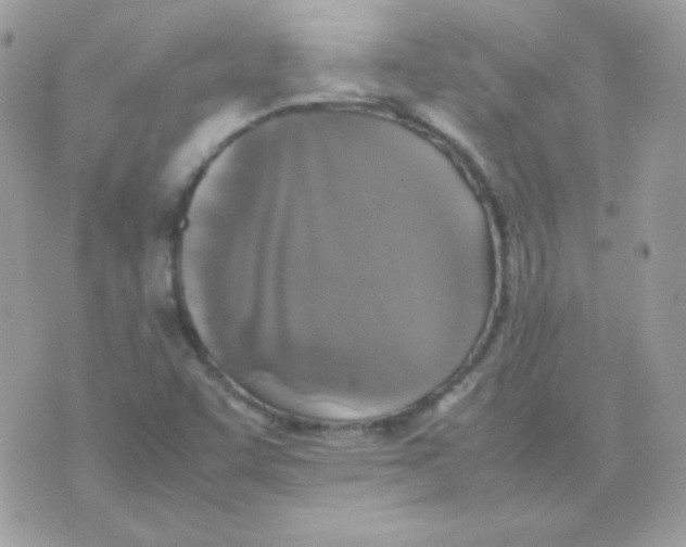 X0000074971455200609291926