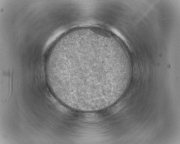 X0000074971456200609291926