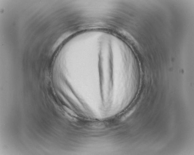 X0000074971457200609291926