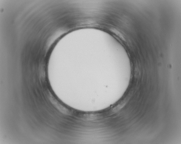 X0000074971458200609291926