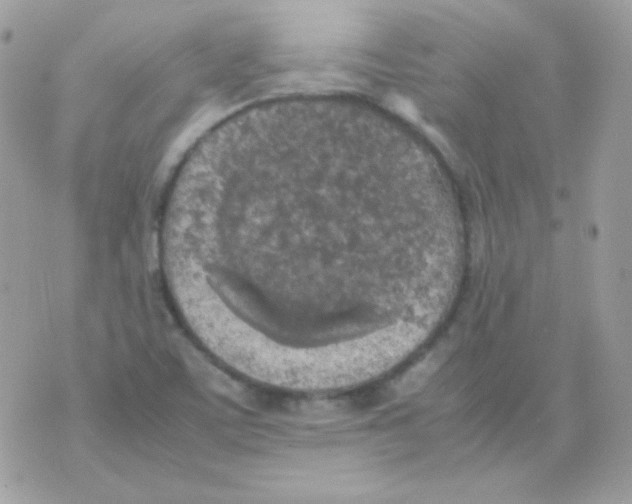 X0000074971459200609291926