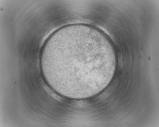 X0000074971460200609291926