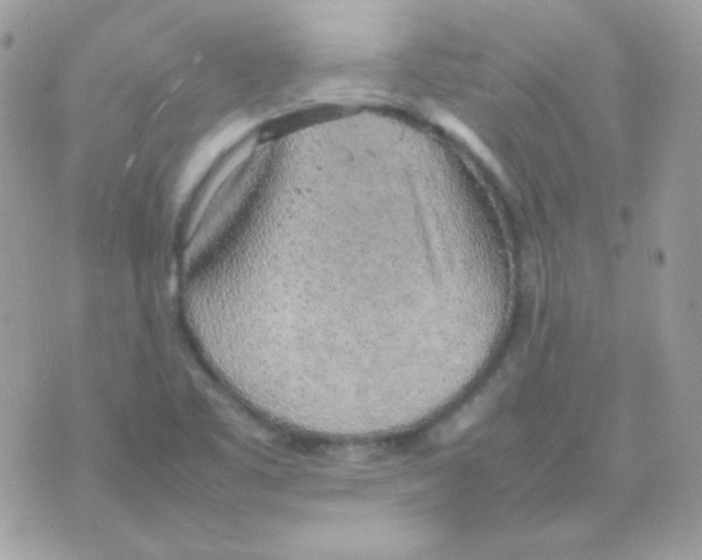 X0000074971461200609291926