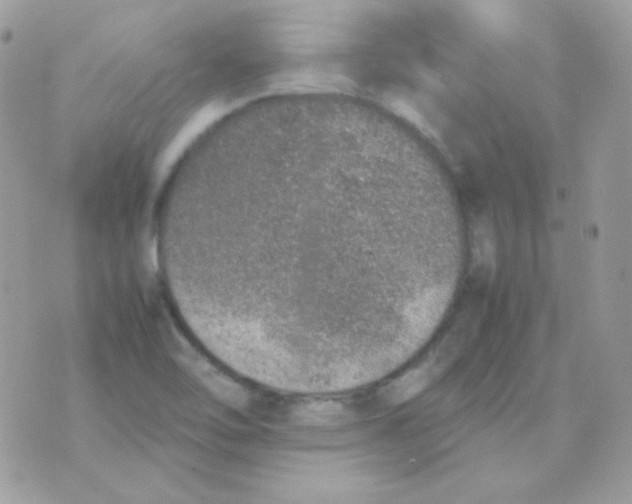 X0000074971462200609291926