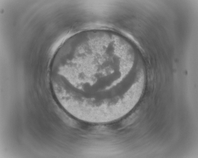 X0000074971463200609291926