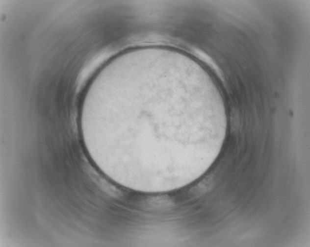 X0000074971464200609291926