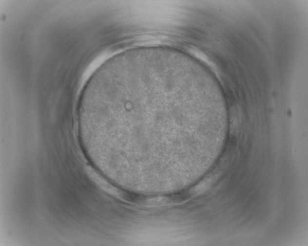 X0000074971467200609291926