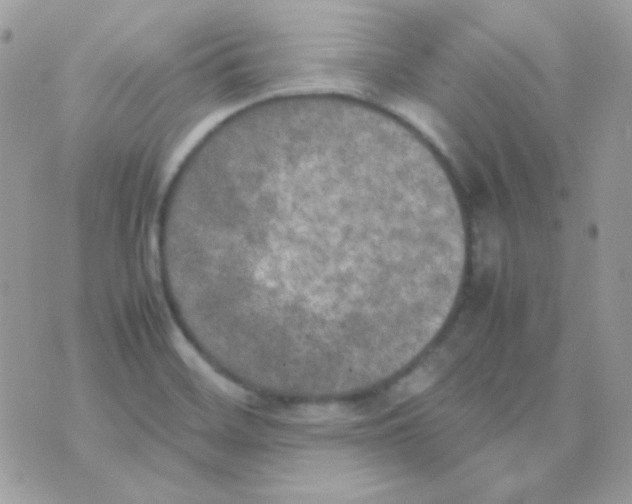 X0000074971468200609291926