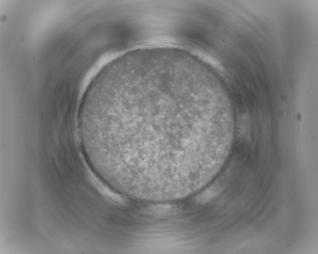 X0000074971470200609291926