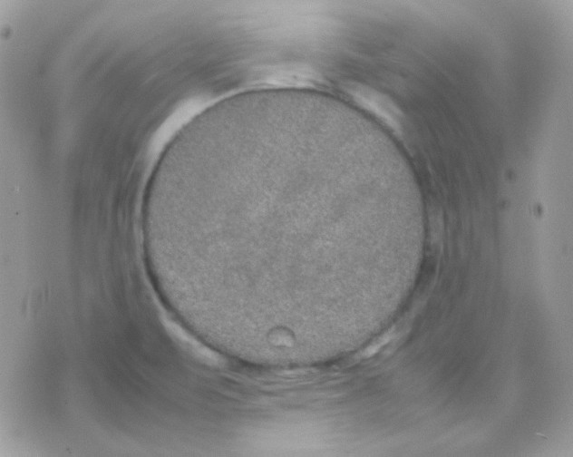 X0000074971471200609291926